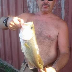 Meet your Posher, Bobby